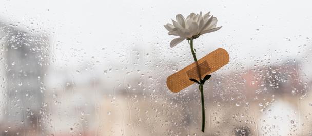 Flower taped to a fogged window