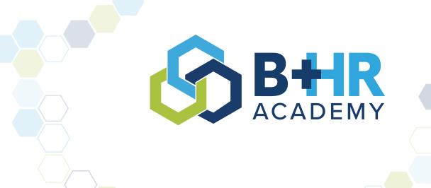 UNDP B+HR Academy logo