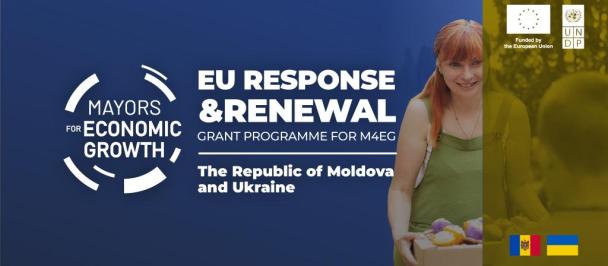 EU Response and Renewal