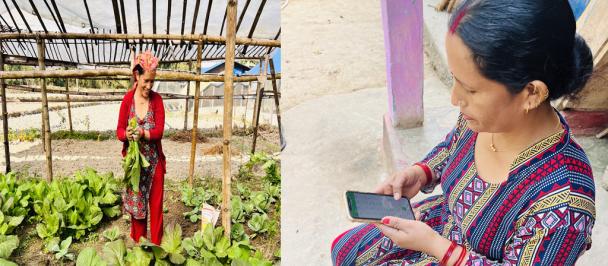 Photo collage: photo 1: women farmer in the field and photo 2: womenusing ebanking and other photo