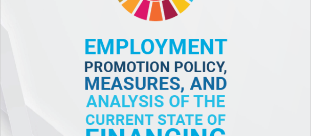 Employment Promotion Policy, Measures, and Analysis of the Current State of Financing