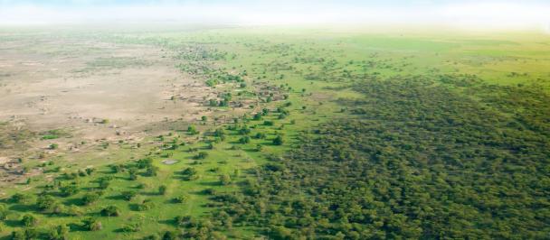 Arial view of the Great Green Wall