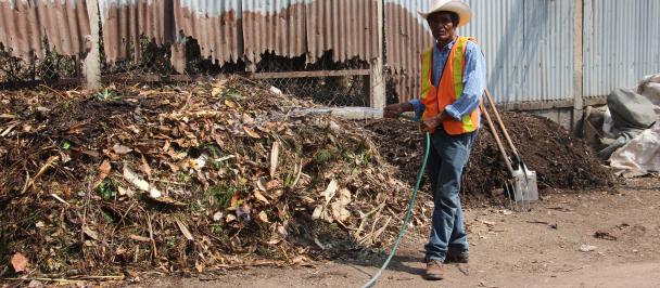 Señor humidificando compost en el vivero de Comayagua, Honduras