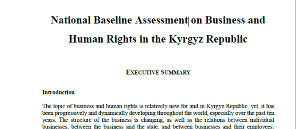 National Baseline Assessment on Business and Human Rights in the Kyrgyz Republic