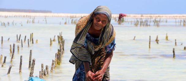 Seaweed farmer in Zanzibar 