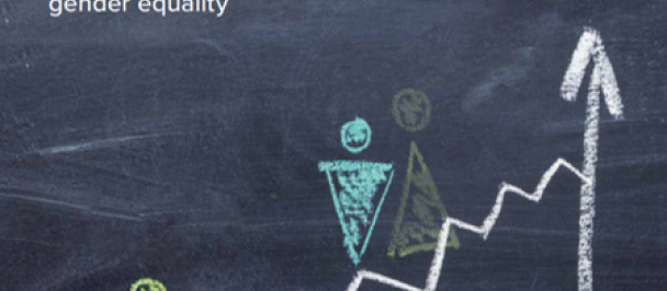 Gender Norms Social Index cover image