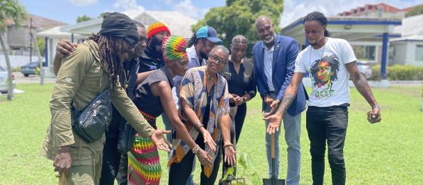 Artistes plant trees at UNDP front lawn and call for more trees
