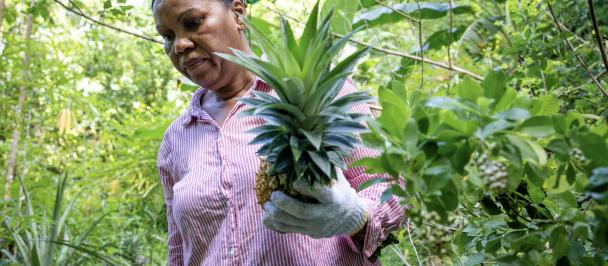 The Food and Agriculture Organization (FAO) highlights that if women could reinvest up to 90% of their earnings back into their households, they could break the cycle of intergenerational poverty. 