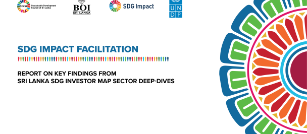 SDG Investor Map Sector Deep Dive Report
