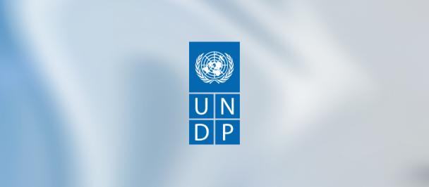 UNDP logo meta image