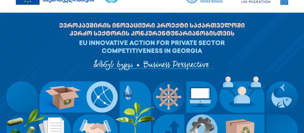 EU Innovative Action for Private Sector Competitiveness in Georgia