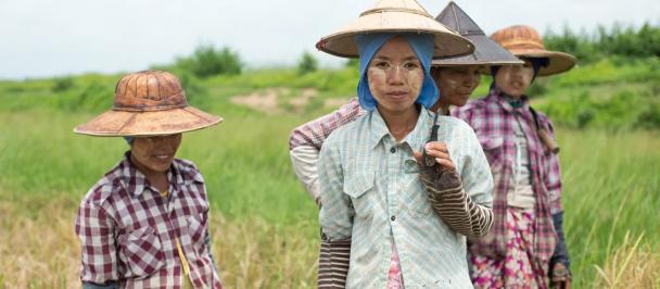 Women farming in Myanmar