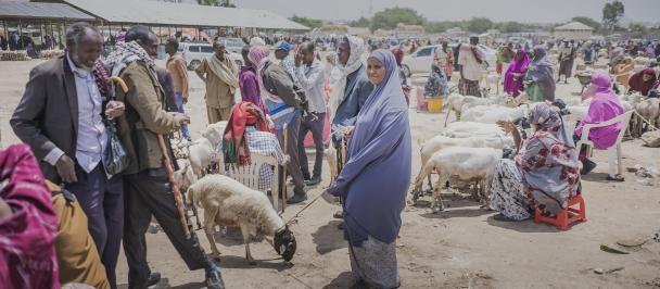 UNDPは日本政府の資金提供を受け、ソマリアで避難を余儀なくされている人を支援