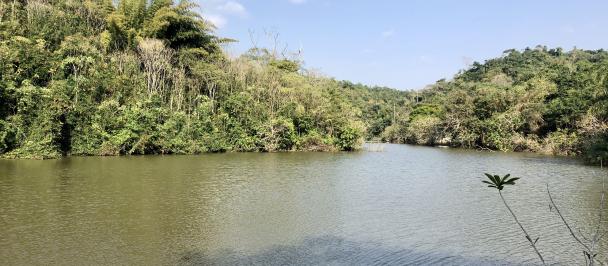 Pugu Hills Nature Forest Reserves