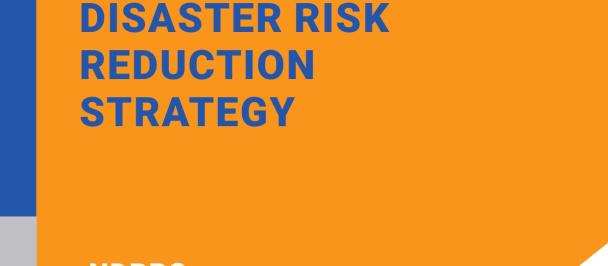 The National Disaster Risk Reduction Strategy