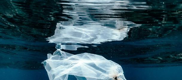 A single use plastic bag floating underwater near the surface in Bali, Indonesia. Photo: Naja Bertolt Jensen/Unsplash