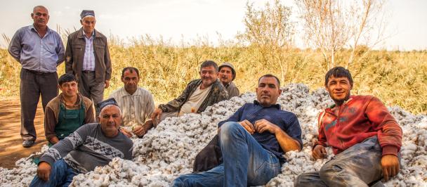 Men relax on a pile of picked cotton