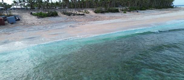 Atoll coastline with palm trees