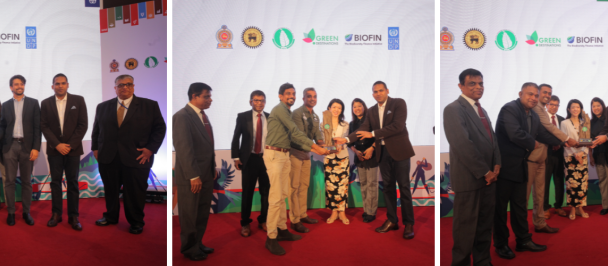 Outstanding award recipients