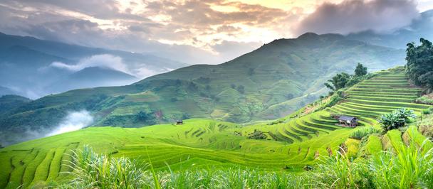 Lush green terraced rice fields under a dramatic sunset sky with distant mountains.