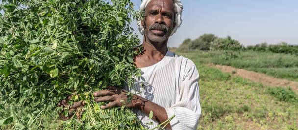 Man in a white robe holding a large bundle of greenery in a field.