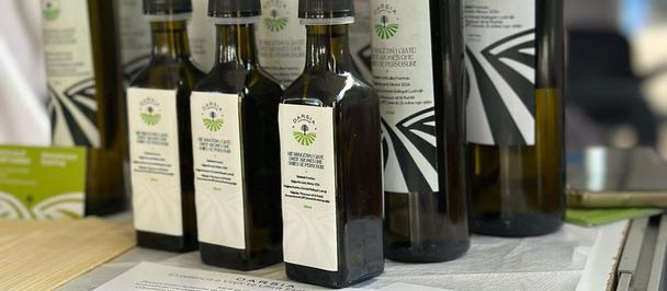 How Sweden’s Support Helped Darsia Olive Oil Grow Beyond Lushnja