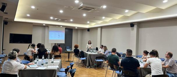 EU4LMI Employment Assessment Consultation Meetings - Elbasan