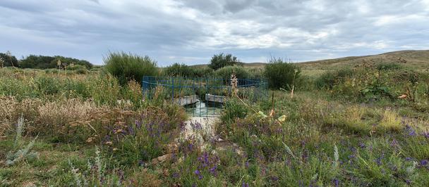 Meadow with grasses, purple wildflowers, a shallow stream, and distant hills under clouds.