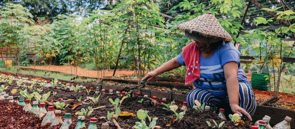 Photograph of a gardener in a conical hat and blue clothing, tending rows of seedlings.