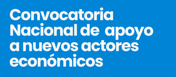 Blue and white banner announcing a national call to support new economic actors; ICT sector; logos.