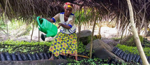 Photo: Woman in a bright patterned dress waters plants with a green can under a thatched shelter.