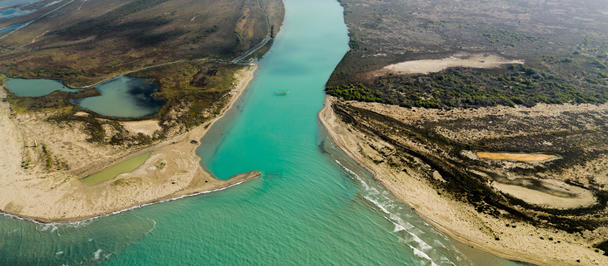 Under the Vjosa National Park Management Plan, EU4Nature has launched concrete restoration work: three hectares of riparian habitat are being restored, 7,500 native plants in the ground, and local communities engaged as active partners in conservation.