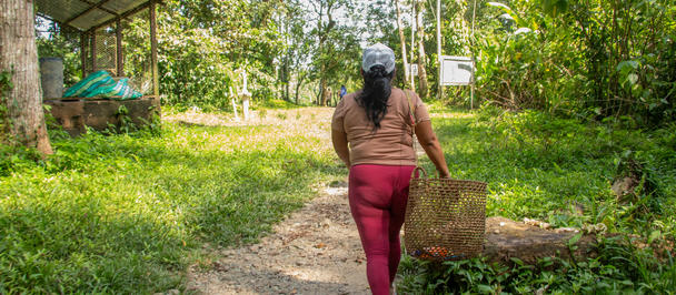 Person in brown top and red pants walking down a dirt path in a rural garden carrying a bag.