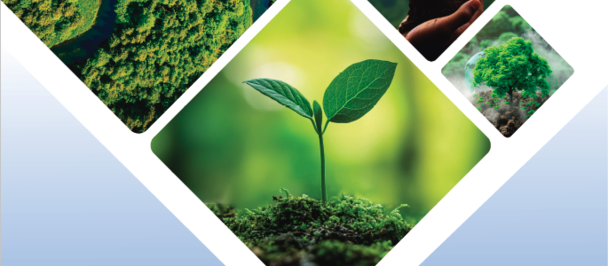 Graphic poster with a diamond collage of green plant photos and Arabic title Green Growth Framework.