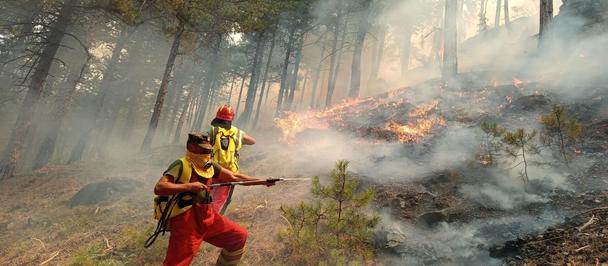 On the front lines against last year’s devastating wildfires: Albanian first responders displayed immense courage in the face of crisis.