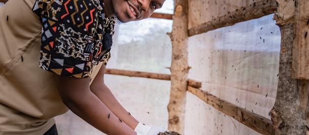 Person with patterned headscarf and gloves handling a white egg near a nesting box in a wooden coop.