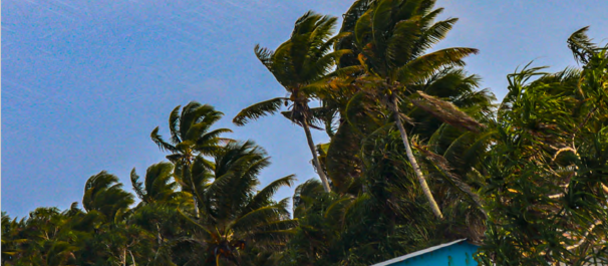 Book cover: tropical shoreline with a blue hut, palm trees, and crashing waves.