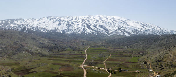 Aerial view of snow-capped mountains beyond rolling green hills with winding dirt roads.