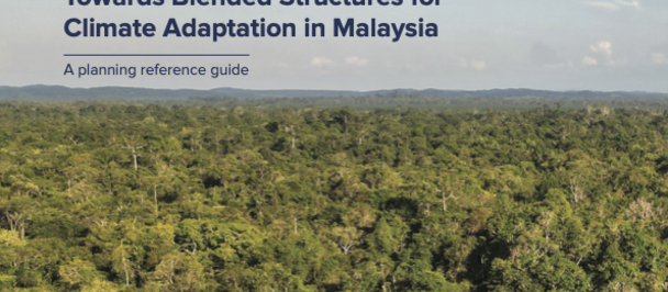 Cover of a report showing a lush Malaysian forest canopy with a blue UNDP logo.