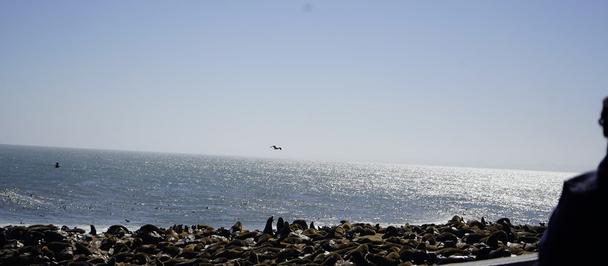 Seaside view with a rocky shore, calm blue sea, and clear sky; dark silhouette on the right.
