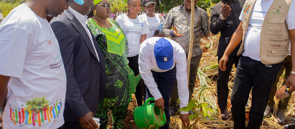 Photograph of a diverse group planting a sapling outdoors, dirt and a green bucket nearby.