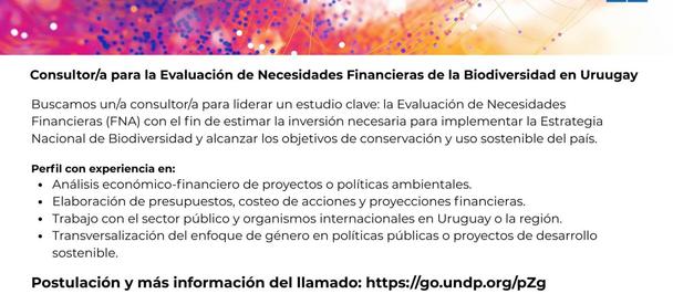 Banner for consultants on biodiversity financing needs in Uruguay; includes logos.
