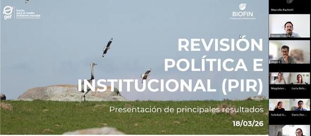 Presentation slide with logos, title "Revisión Política e Institucional (PIR)", hill and bird.