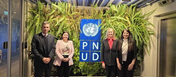 Four professionals in business attire pose in a hallway in front of a PNUD logo sign with plants.