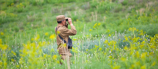 Couple embracing in a sunny meadow filled with yellow and purple wildflowers.