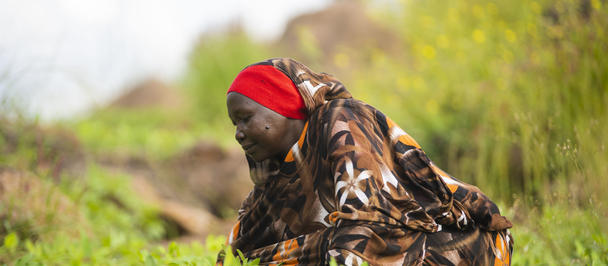 Farmer in a red headband tending crops in a sunny green field.