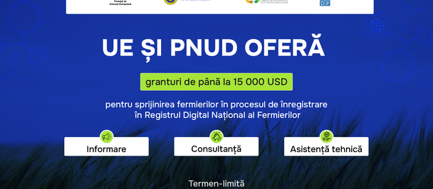 Blue EU-UNDP banner with three white cards labeled Information, Consultation, Technical assistance.