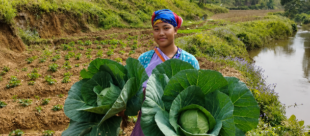 Smiling farmer standing in terraced fields beside a river, holding two large cabbages.