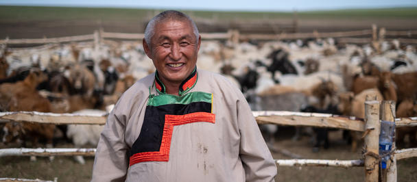 Smiling shepherd wearing a striped shirt in a fenced field with sheep.