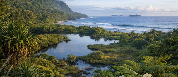 Coastal landscape with rocky tidal pools, white flowers, and lush greenery in the foreground.